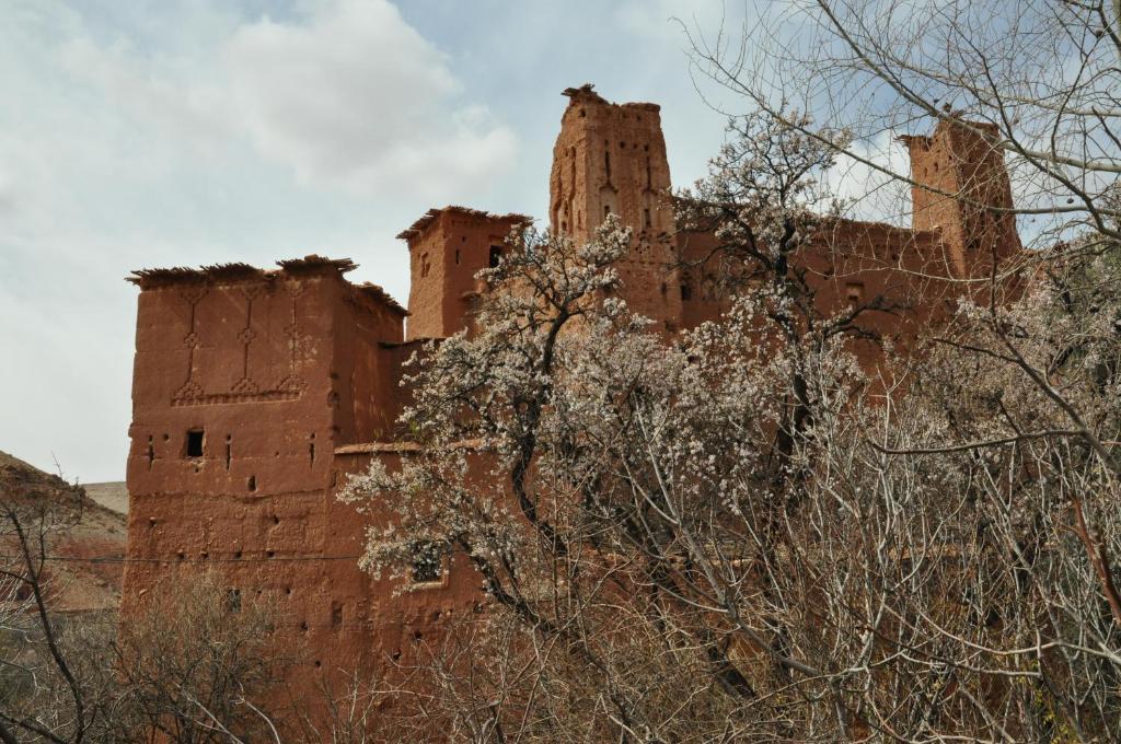 Kasbah Tigmi N'Oufella Bed and Breakfast Telouet Exteriör bild